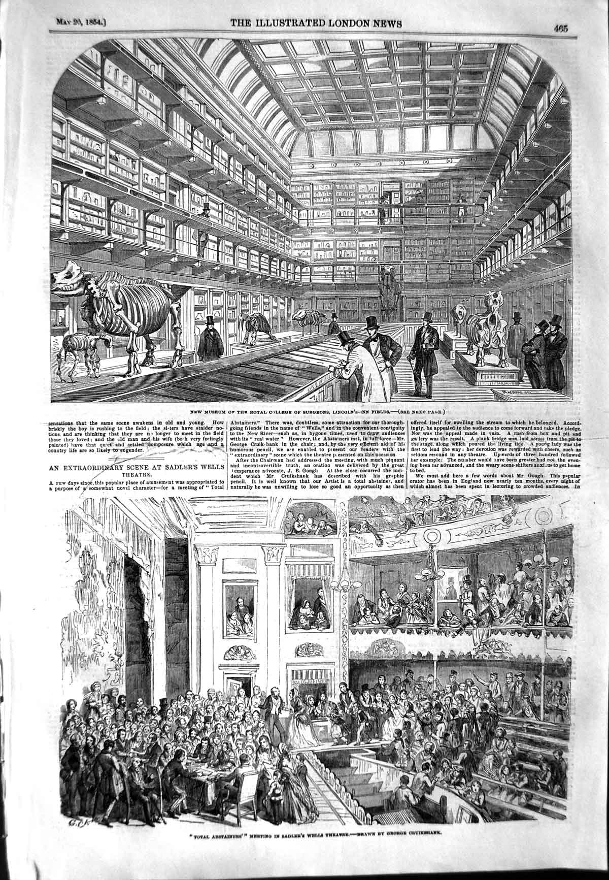 Original Old Antique Print 1854 Museum Royal College Surgeons Sadler'S Theatre