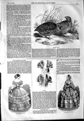 Old Antique Print 1854 Paris Fashion European Quails Birds Costume Ball 19th
