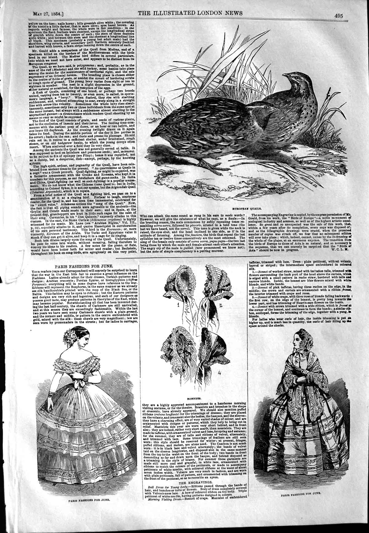 Old Antique Print 1854 Paris Fashion European Quails Birds Costume Ball 19th