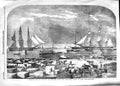 Old Antique Print 1854 Embarkation Cattle Trieste Army War Ships Cattle 19th
