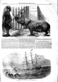 Original Old Antique Print 1854 Hippopotamus Cataragui Ship Galop Rapids Canada