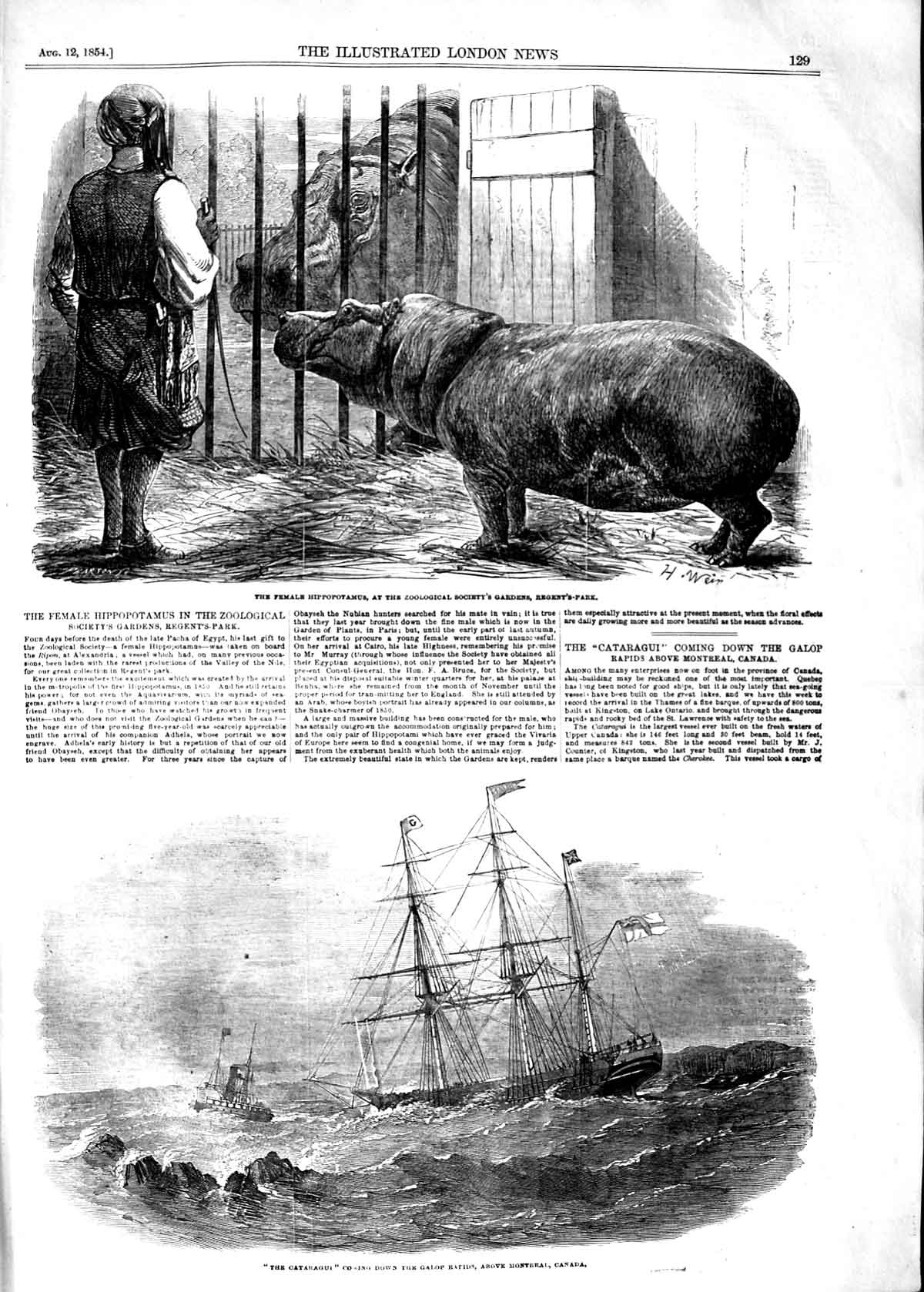 Original Old Antique Print 1854 Hippopotamus Cataragui Ship Galop Rapids Canada