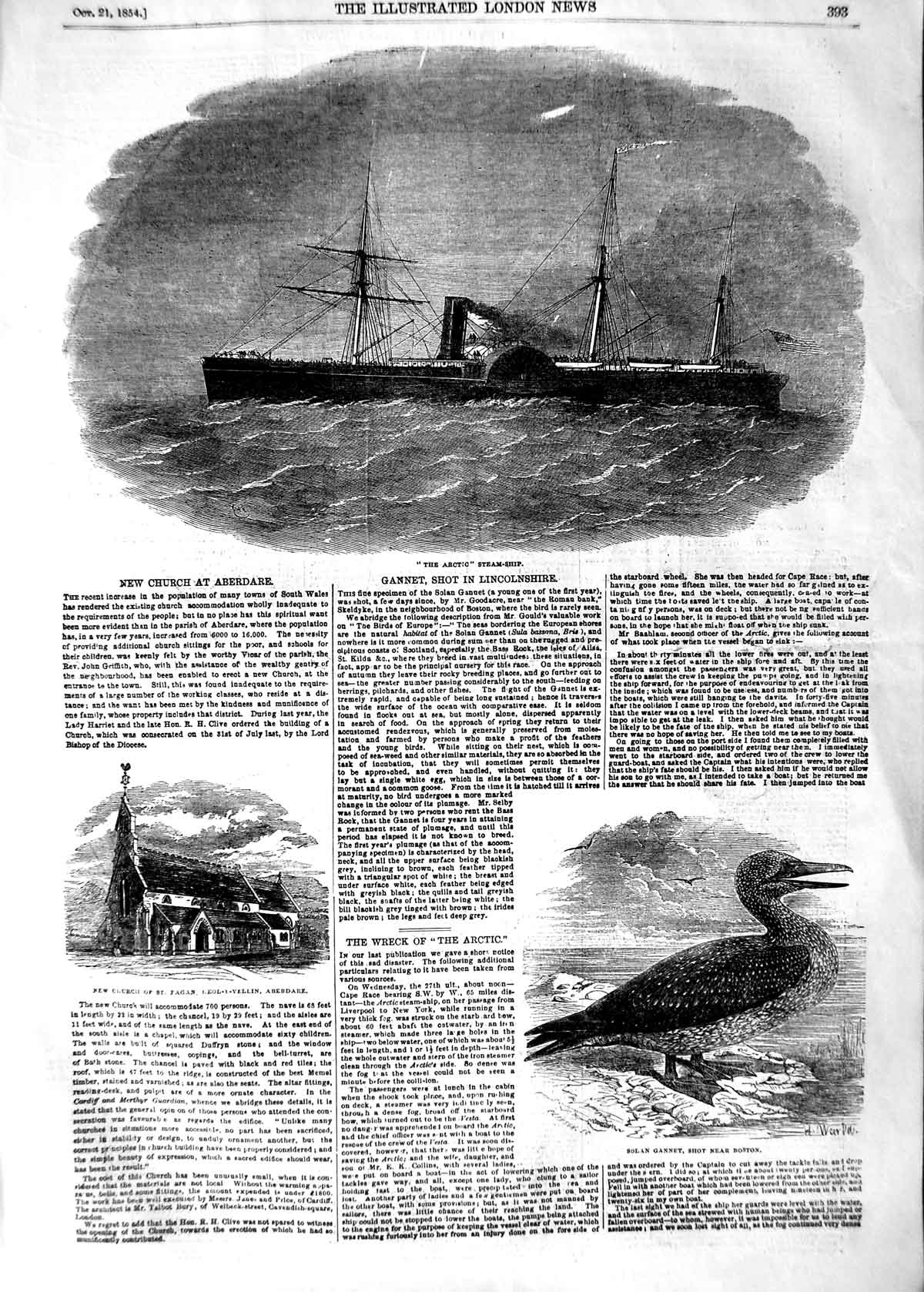 Original Old Antique Print 1854 Arctic Steam Ship Church Aberdare Gannet 19th