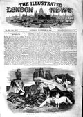 Original Old Antique Print 1854 Arctic Foxes Birds Zoological Society Gardens