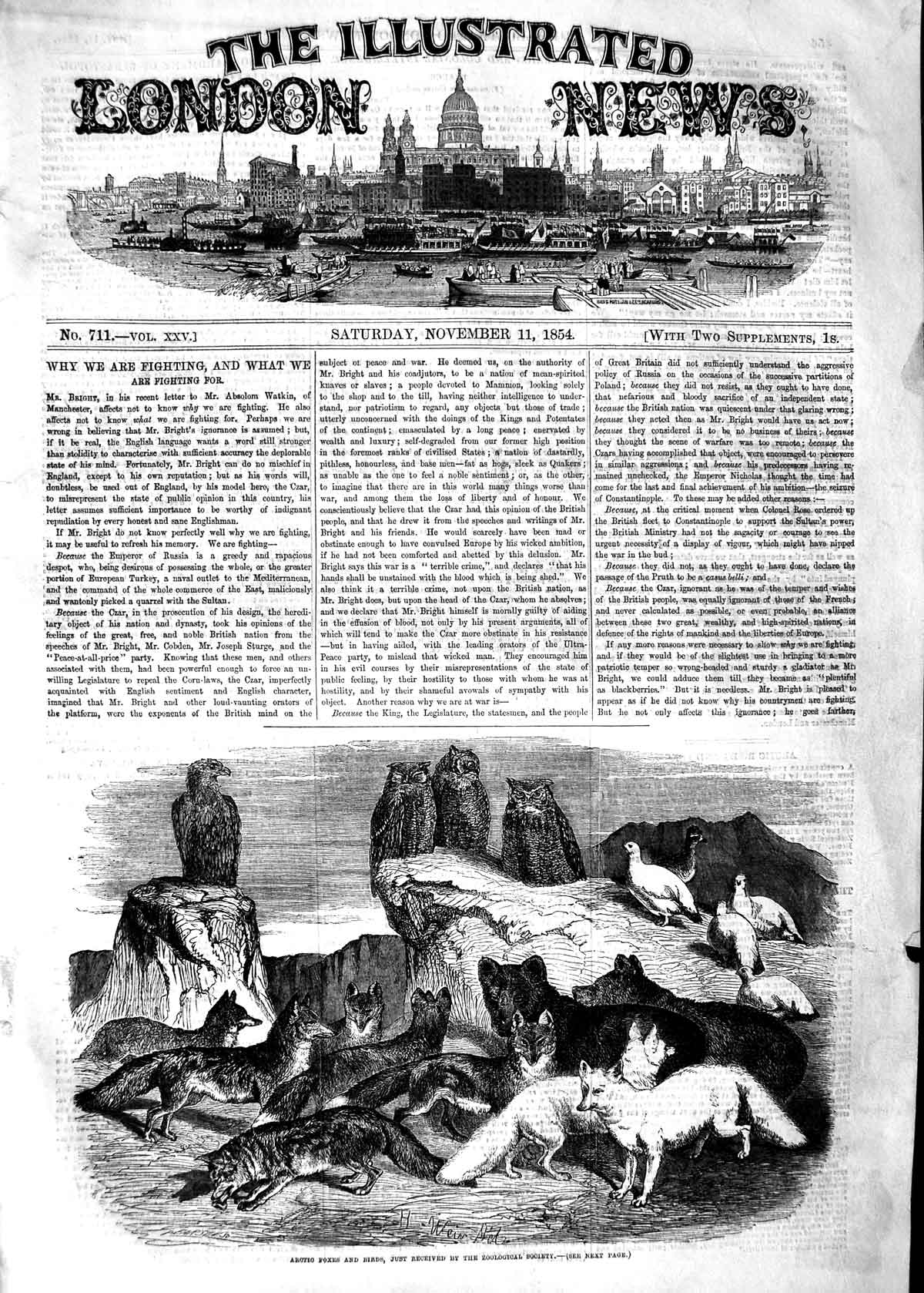 Original Old Antique Print 1854 Arctic Foxes Birds Zoological Society Gardens