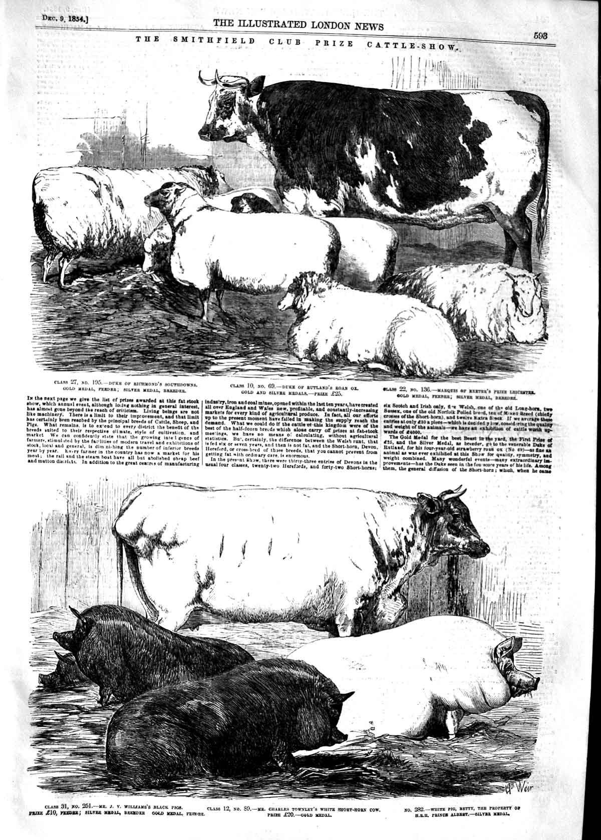 Old Antique Print 1854 Smithfield Club Cattle Show Duke Rutland Richmond 19th