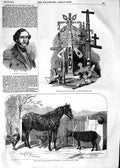 Old Antique Print 1854 Captain Hall Toys Russian Lewes Pony Sheep Hecla 19th