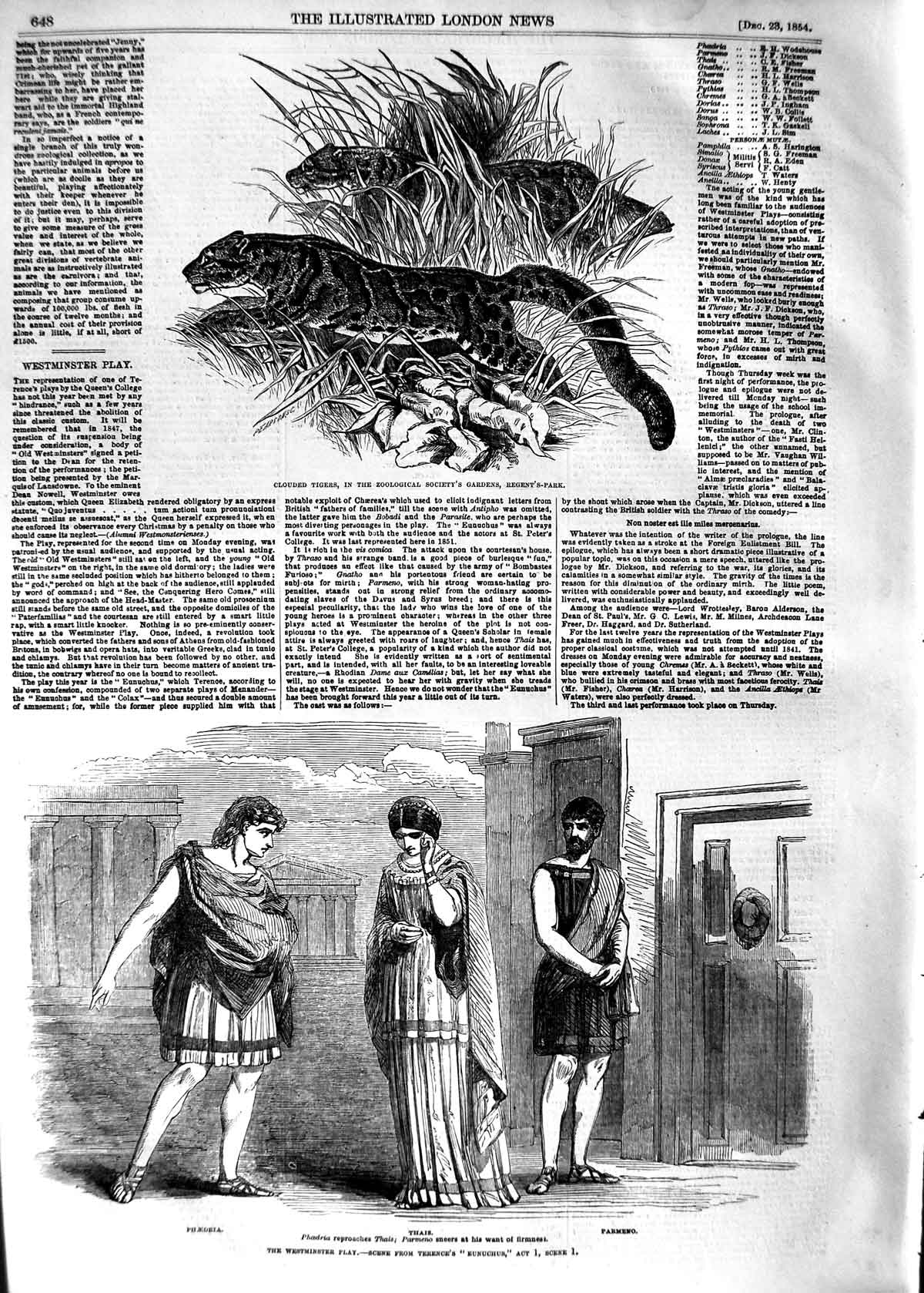 Old Antique Print 1854 Clouded Tigers Westminster Eunuchus Thais Parmeno 19th