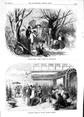 Old Antique Print 1854 Cutting Ashen Fagots Devonshire Tree Covent Garden 19th