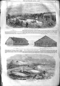 Original Old Antique Print 1855 Durban Natal War Barracks Shoal Whales Solway