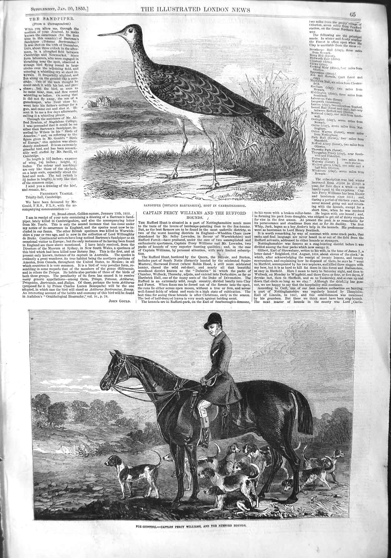 Old Antique Print 1855 Sandpiper Bird Fox Hunting Percy Williams Rufford 19th
