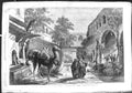 Original Old Antique Print 1855 Kran Inn Smyrna Camels James Robertson 19th