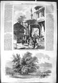 Original Old Antique Print 1855 Tophana Oak Tree Godfrey Boullion Constatinople