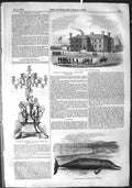 Old Antique Print 1855 Militia Barracks Ipswich Whale Cumberland Howden 19th