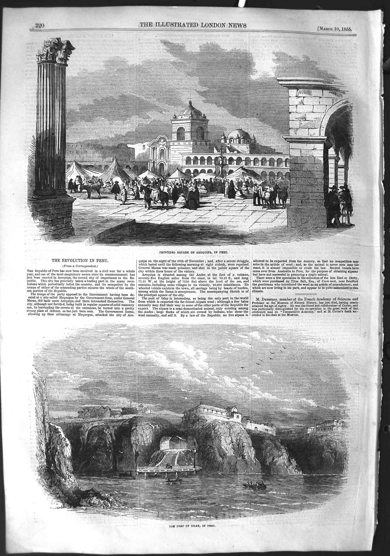 Original Old Antique Print 1855 Square Arequipa Port Islay Revolution Peru 19th