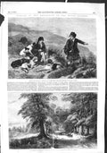 Old Antique Print 1855 Scotland Hunting Sport Avenue Hatfield Park Deer 19th