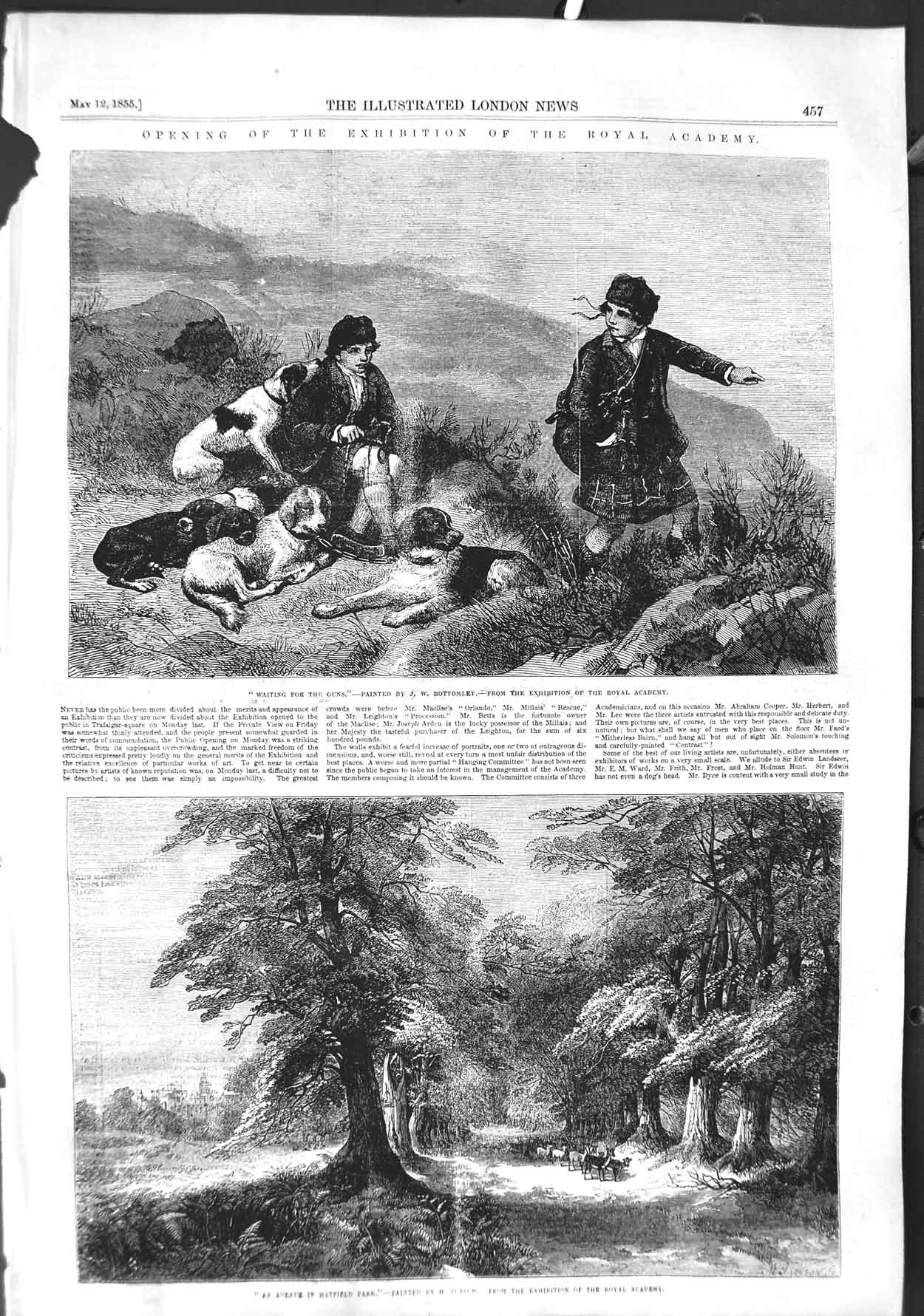 Old Antique Print 1855 Scotland Hunting Sport Avenue Hatfield Park Deer 19th