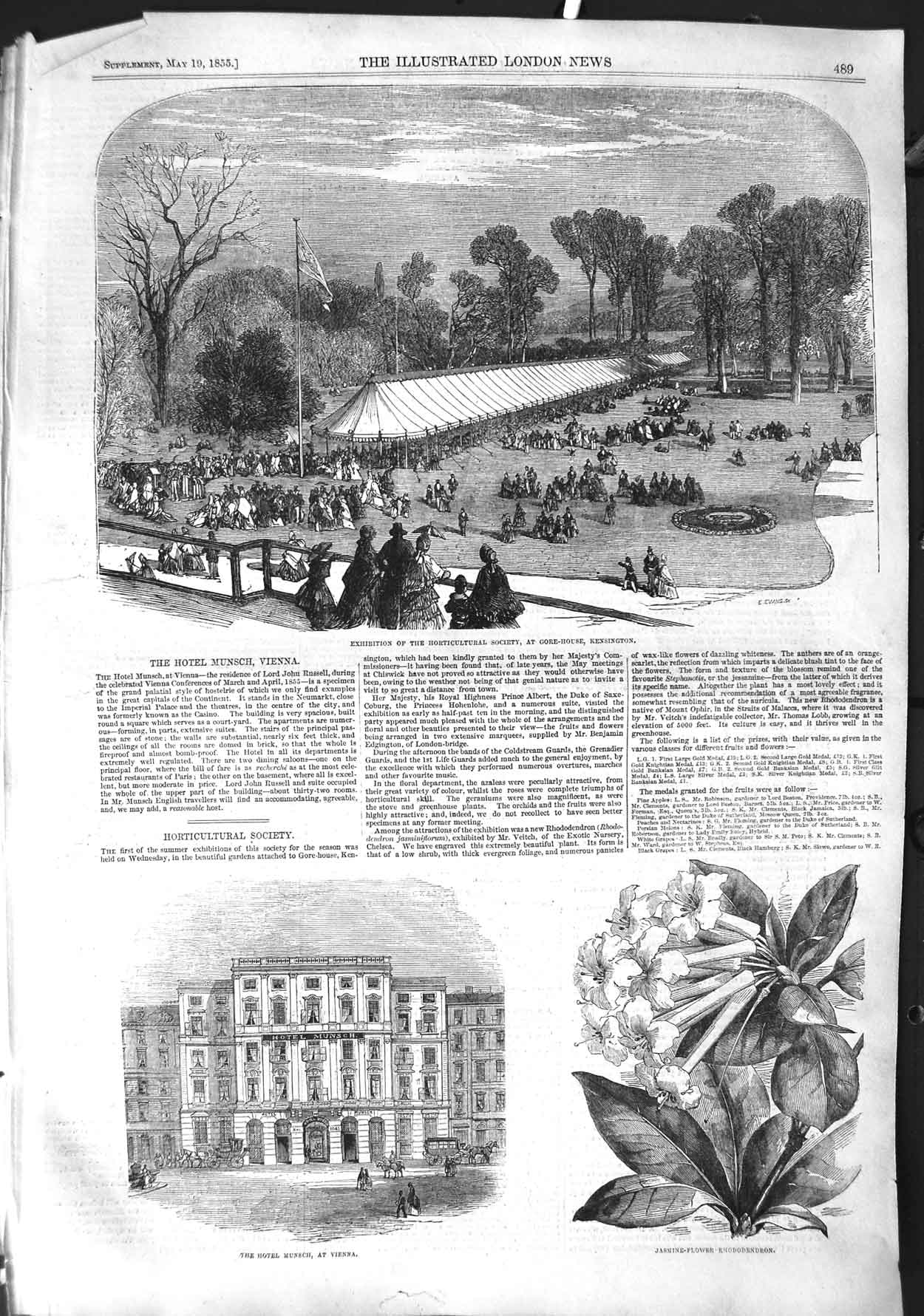 Old Antique Print 1855 Horticultural Soceity Gore Kensington Hotel Munsch 19th