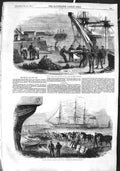Original Old Antique Print 1855 Ship War Shell Dockyard Woolwich Horses Crimea
