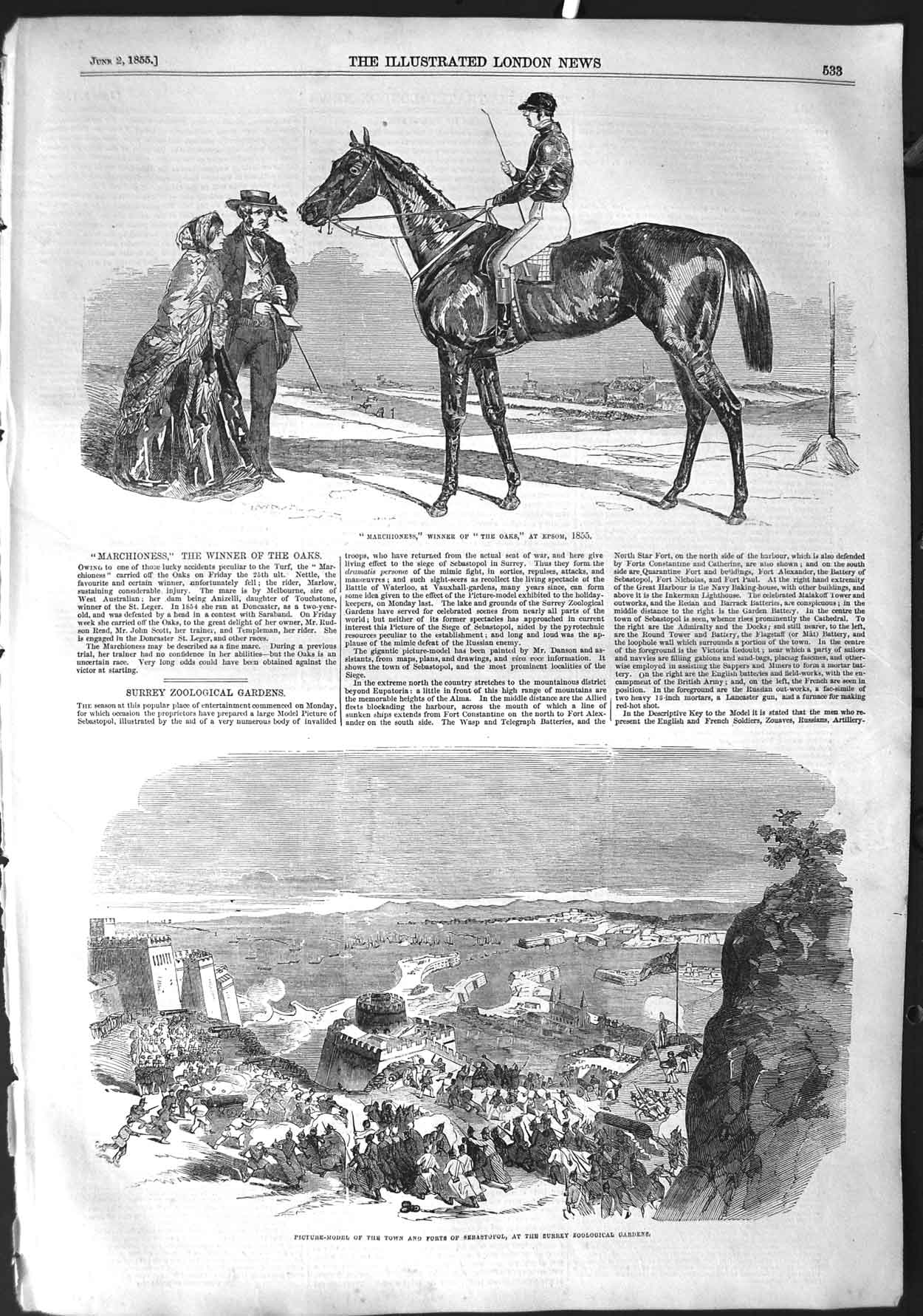 Original Old Antique Print 1855 Marchioness Horse Oaks Epsom Forts Sebastopol