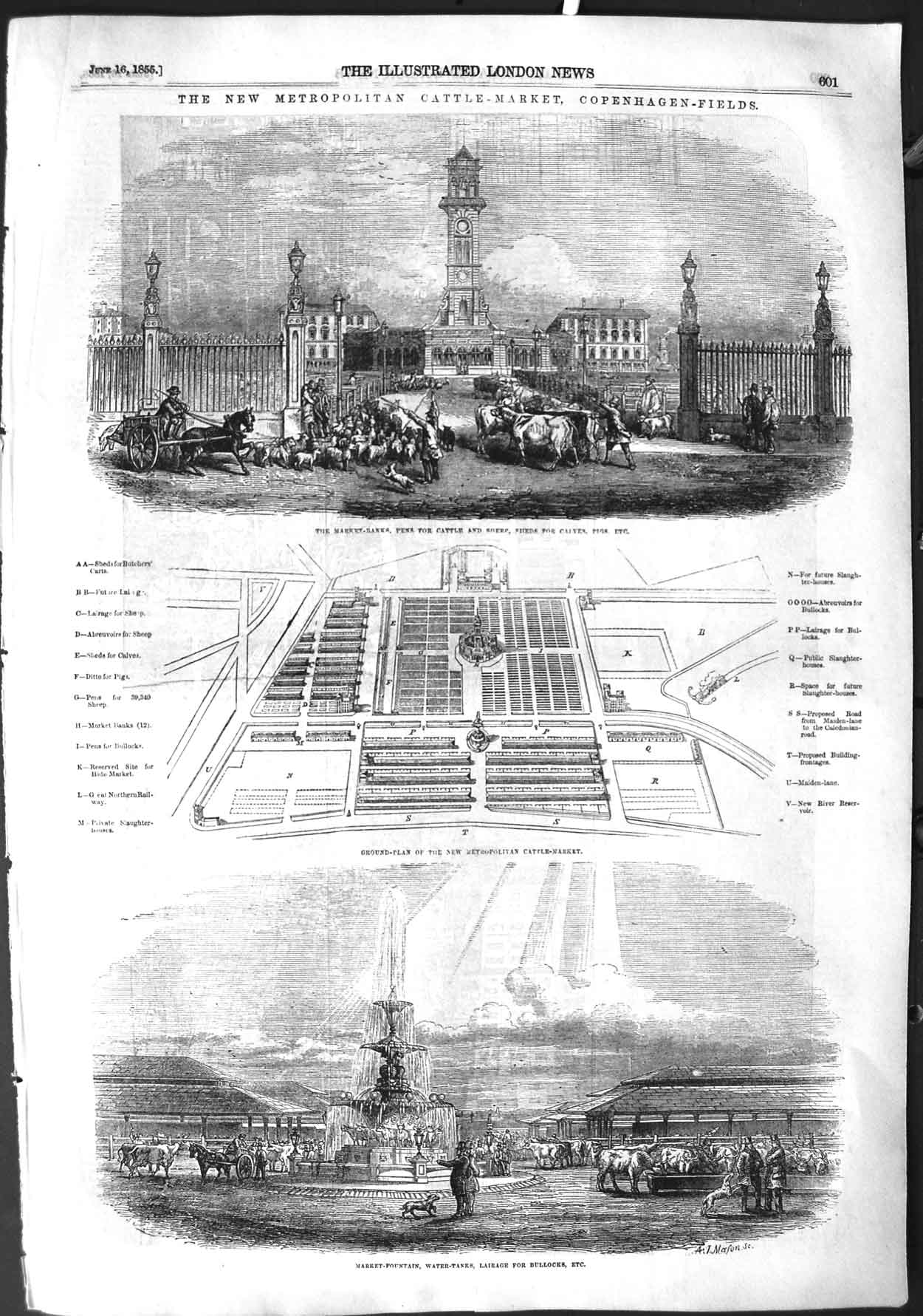 Original Old Antique Print 1855 Cattle Market Copenhagen-Fields Plan Fountain