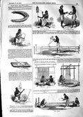 Original Old Antique Print 1855 Indian Cotton Dacca Thread Yarn 19th