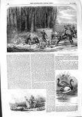 Original Old Antique Print 1855 Fox Hunting Horse Sport Australian Swan Geese