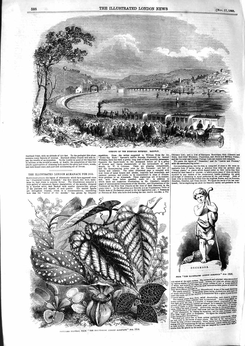 Original Old Antique Print 1855 Bideford Extension Railway December Flowers