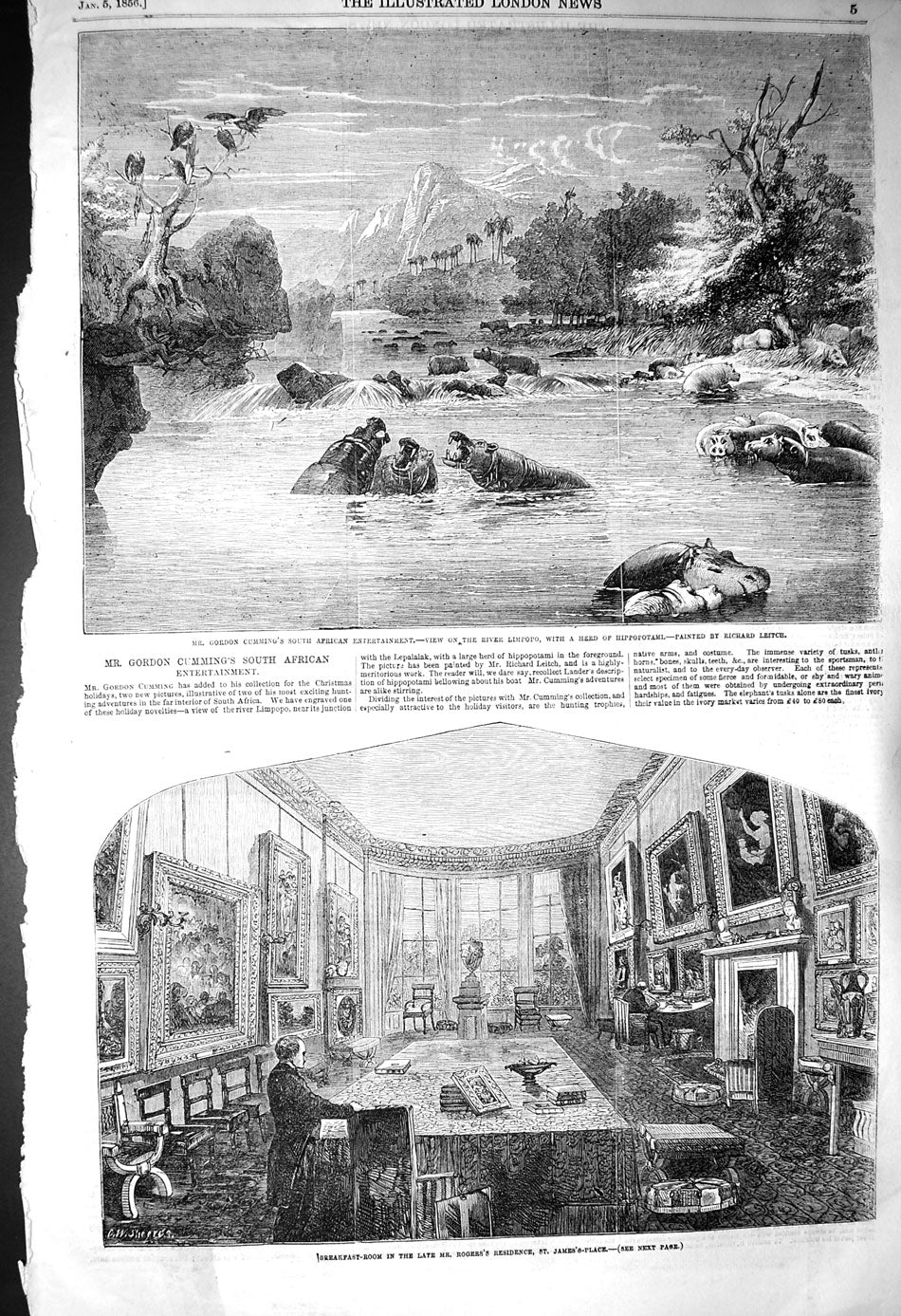 Old Antique Print 1856 Cumming Africa Limpopo Hippopotamus James Palace 19th