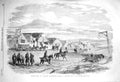 Original Old Antique Print 1856 Woronzoff Little Kamiesch Siers Horses War 19th