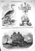 Old Antique Print 1856 Bustard Lawrence Testimonial Ship Mangerton Willis 19th