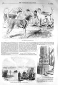 Old Antique Print 1856 Royal Staghounds Dogs Captain Disney Westminster 19th