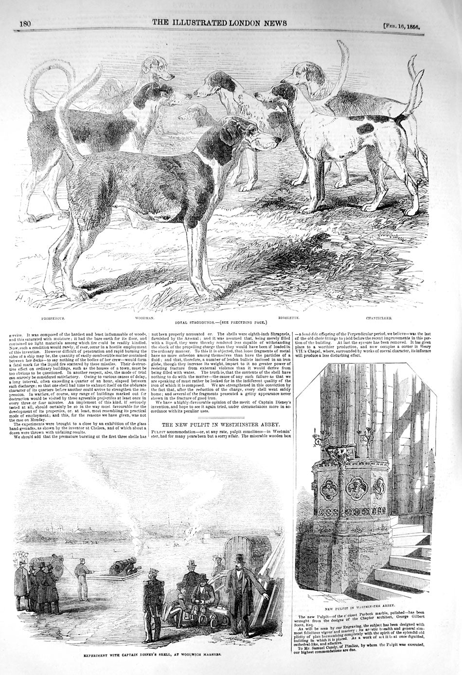 Old Antique Print 1856 Royal Staghounds Dogs Captain Disney Westminster 19th