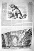 Old Antique Print 1856 Sandy Crimea Dog Sappers Blasting Holyhead Wales 19th