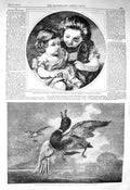 Original Old Antique Print 1856 Stricken Malard Duck Children Little Girls 19th
