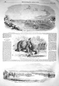 Original Old Antique Print 1856 Wrought-Iron Railway Nile Benha Elephant U 19th