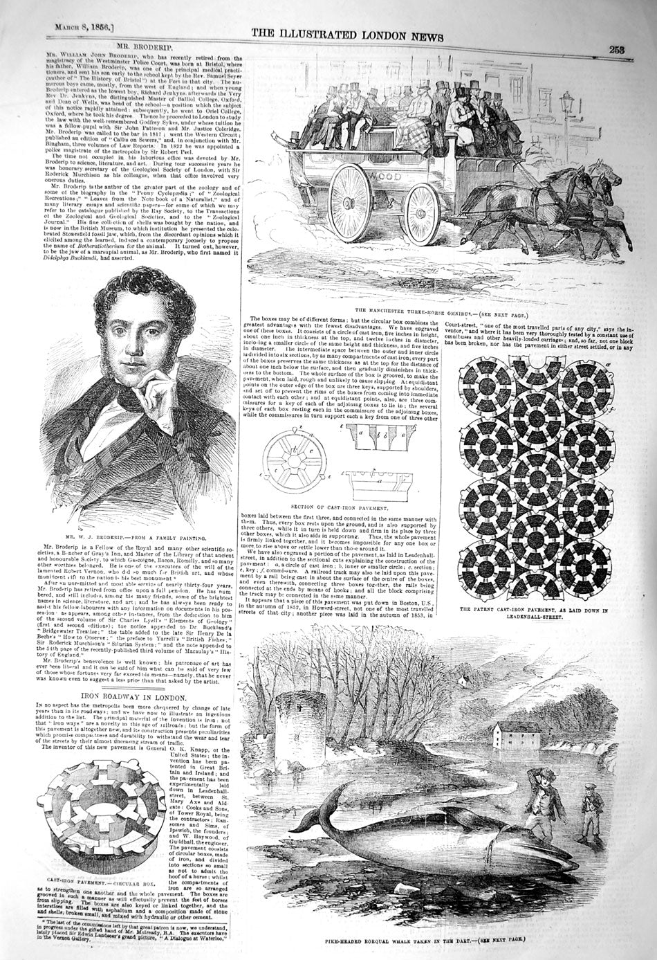 Original Old Antique Print 1856 Manchester Three-Horse Omnibus Broderip Whale