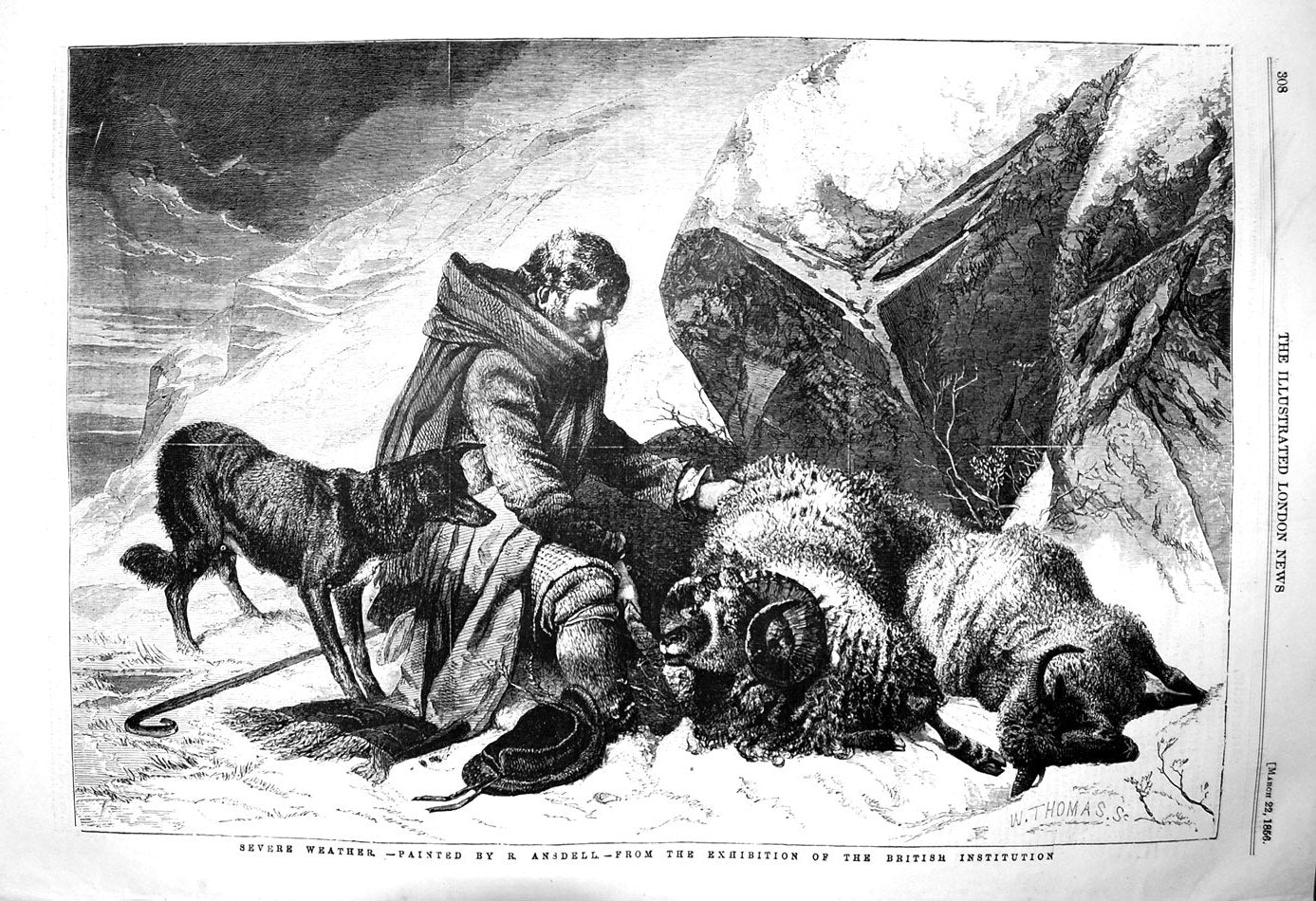 Original Old Antique Print 1856 Severe Weather Scene Man Dog Sheep Ansd 19th