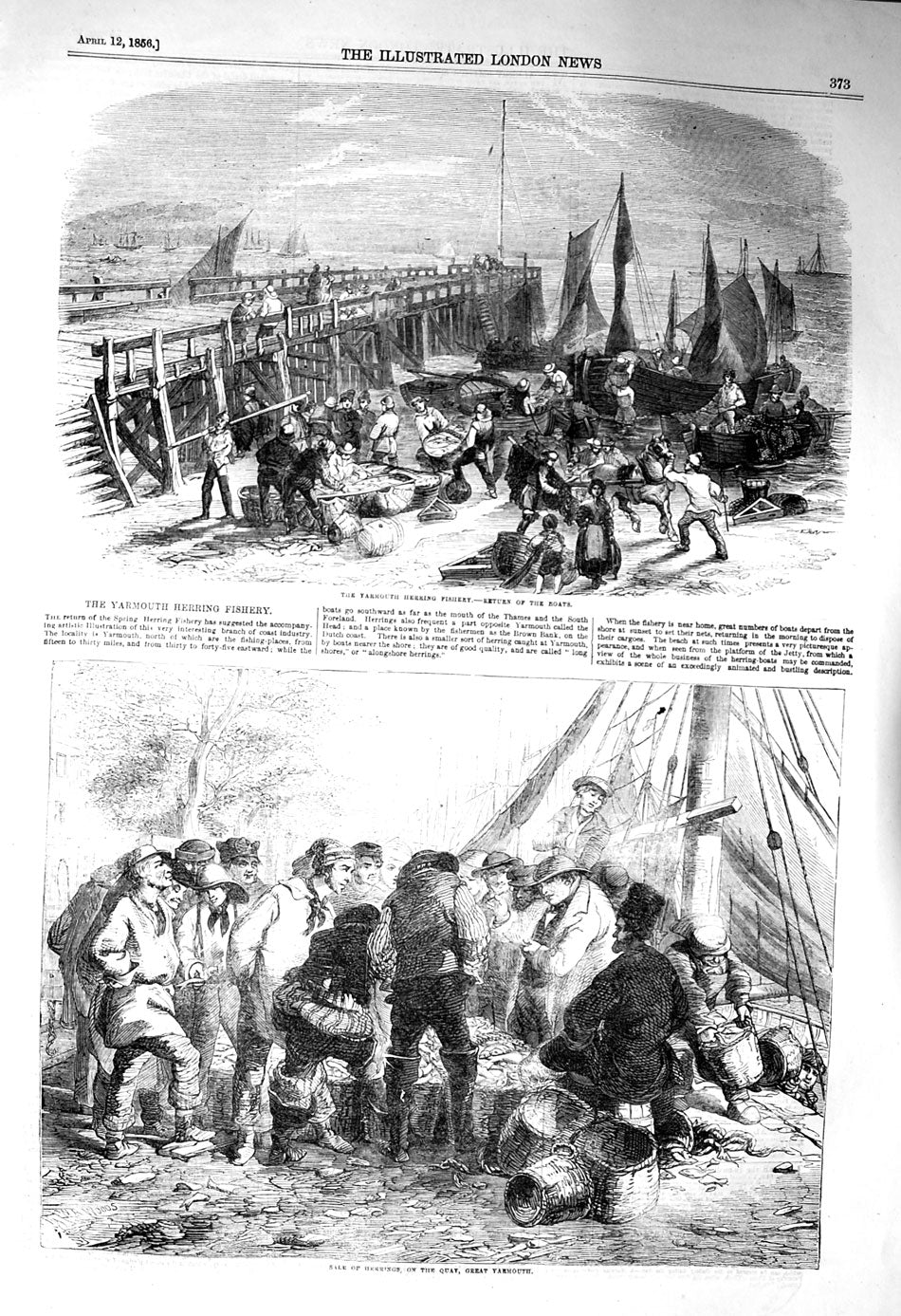 Original Old Antique Print 1856 Great Yarmouth Herring Fishing Boats Fish 19th