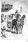 Old Antique Print 1856 London Season Transport Drawing Room Horse Coach 19th