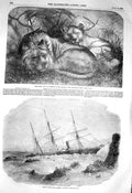 Original Old Antique Print 1856 Babylonian Lions Ship Wreck Steamer Cazador