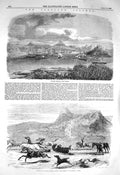 Old Antique Print 1856 Flakland Islands Stanley Harbour Sealer Tussac Bog 19th