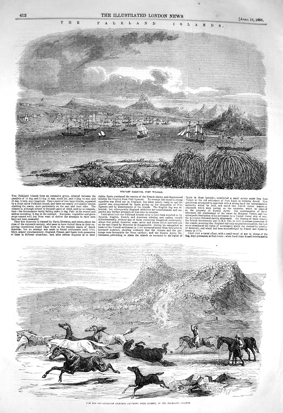 Old Antique Print 1856 Flakland Islands Stanley Harbour Sealer Tussac Bog 19th
