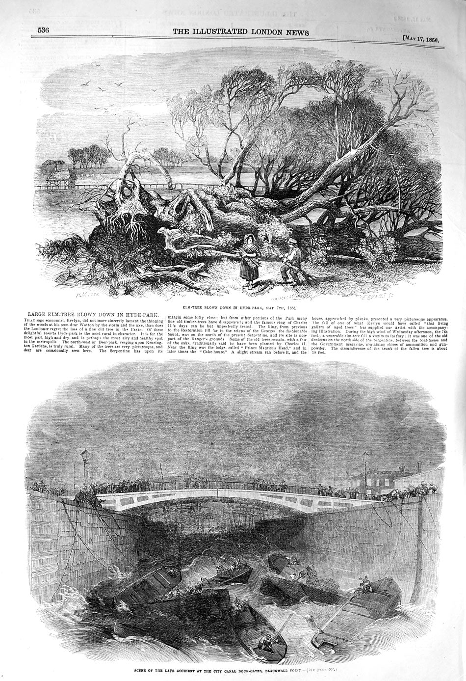Original Old Antique Print 1856 Elm Tree Hyde London Canal Dock-Gates Blackwall