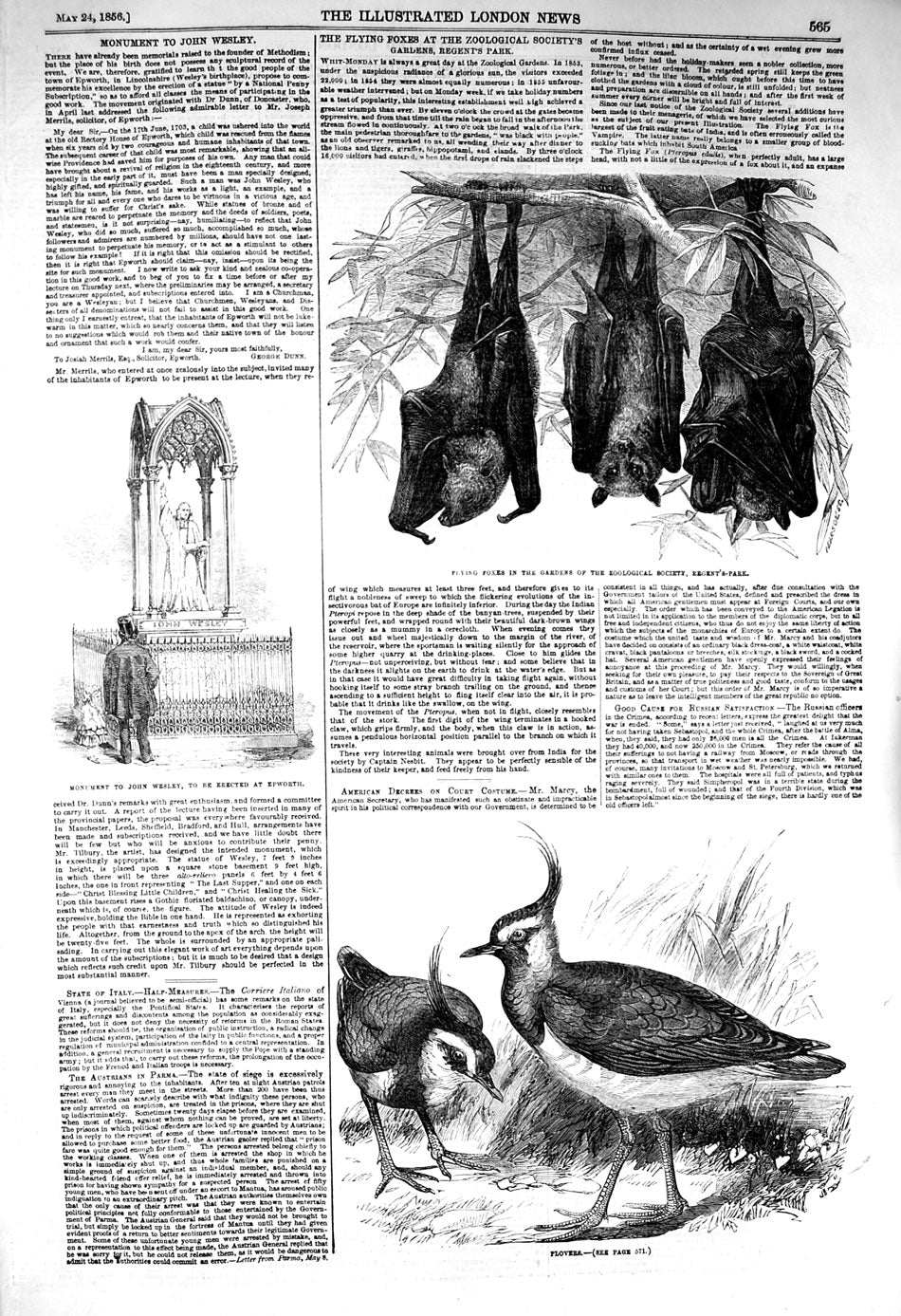 Original Old Antique Print 1856 Flying Foxes Plovers Birds Monument John 19th