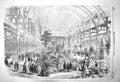 Original Old Antique Print 1856 Universal Cattle Show Agricultural Exhibition