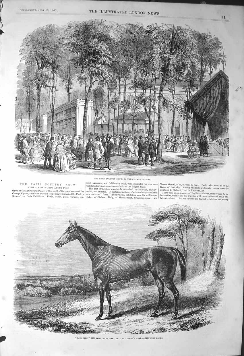 Old Antique Print 1856 Paris Poultry Show Champ Elysees Fair Nell Horse 19th