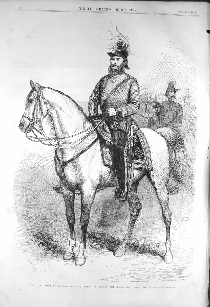 Antique Old Print *3222 1856 Commander-In-Chief Royal Highness Duke Cambridge
