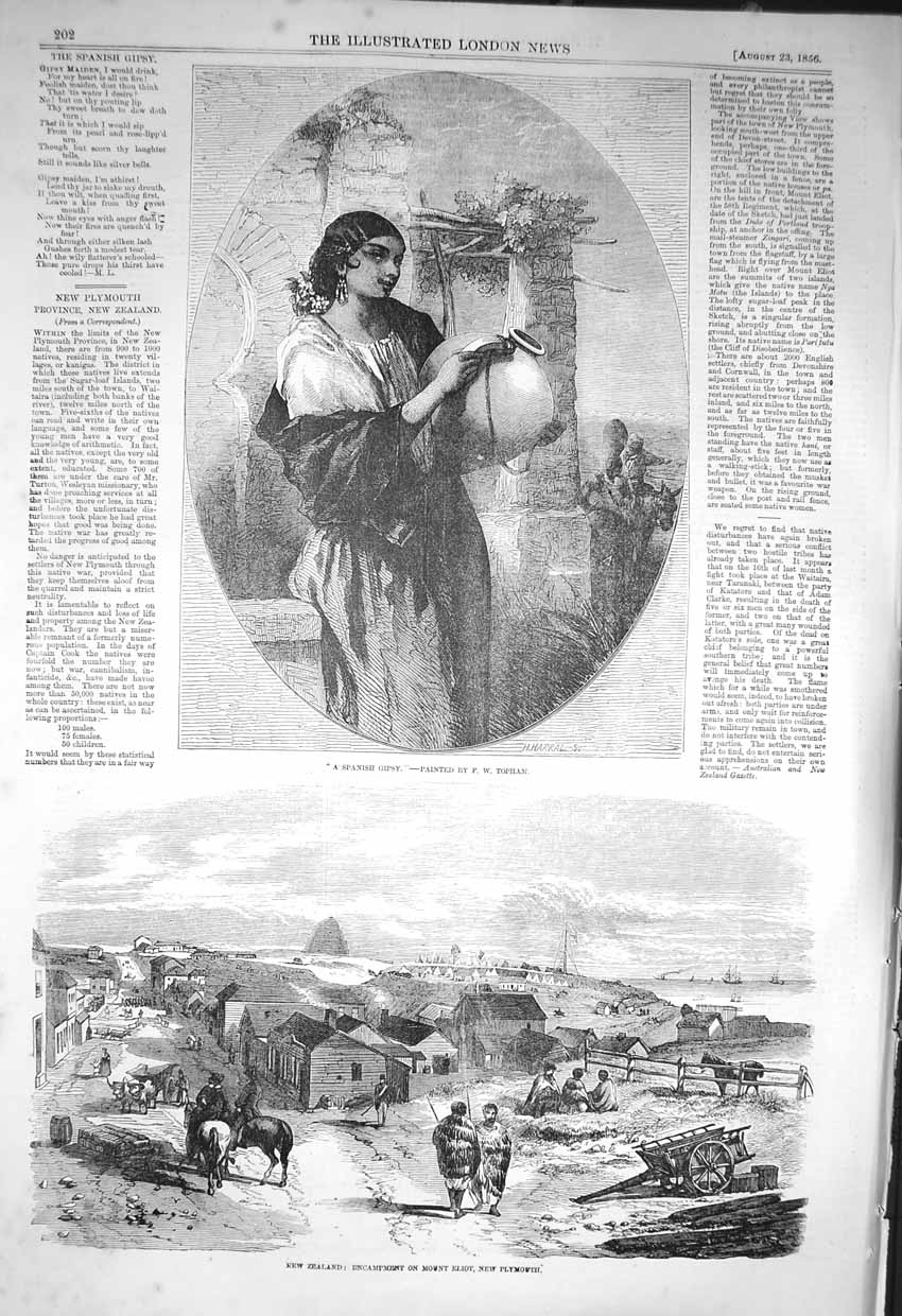 Original Old Antique Print 1856 Spanish Gipsy New Zealand Mount Eliot Plymouth
