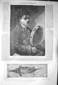 Original Old Antique Print 1856 Fossil Lias Quarries Glastonbury Somerset Music